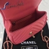 Chanel Bag 021